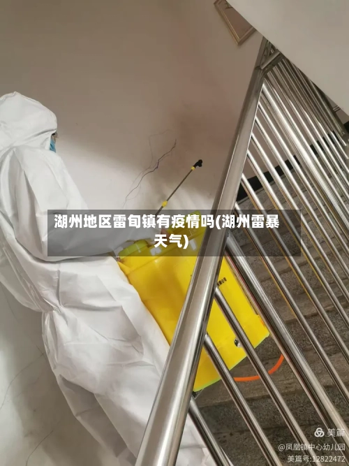 湖州地区雷旬镇有疫情吗(湖州雷暴天气)