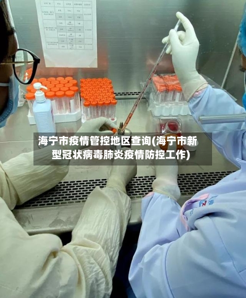 海宁市疫情管控地区查询(海宁市新型冠状病毒肺炎疫情防控工作)-第1张图片