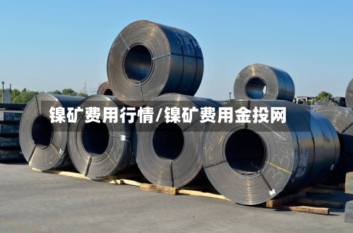 镍矿费用行情/镍矿费用金投网-第1张图片