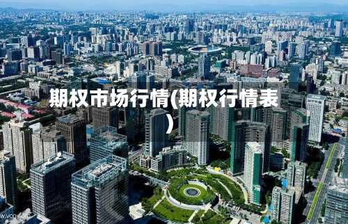 期权市场行情(期权行情表)-第1张图片