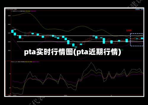 pta实时行情图(pta近期行情)-第1张图片