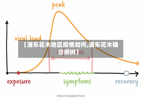【浦东花木地区疫情如何,浦东花木确诊病例】-第1张图片