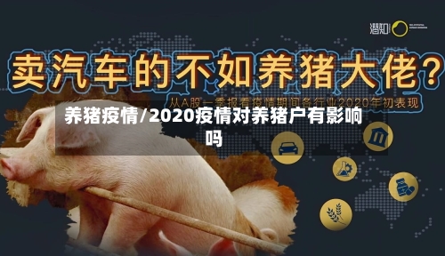 养猪疫情/2020疫情对养猪户有影响吗-第1张图片