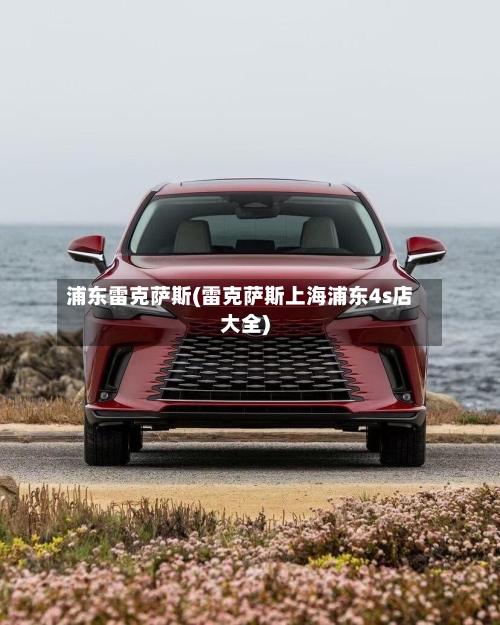 浦东雷克萨斯(雷克萨斯上海浦东4s店大全)-第1张图片