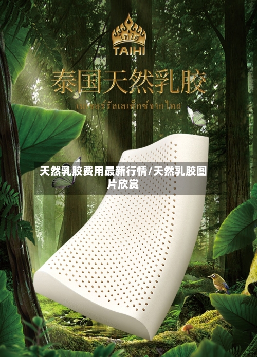 天然乳胶费用最新行情/天然乳胶图片欣赏-第1张图片