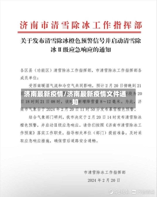 济南最新疫情/济南最新疫情文件通知-第3张图片