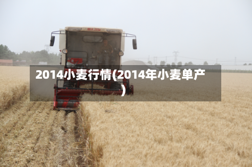 2014小麦行情(2014年小麦单产)-第1张图片