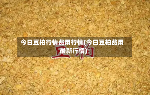今日豆柏行情费用行情(今日豆柏费用最新行情)-第1张图片