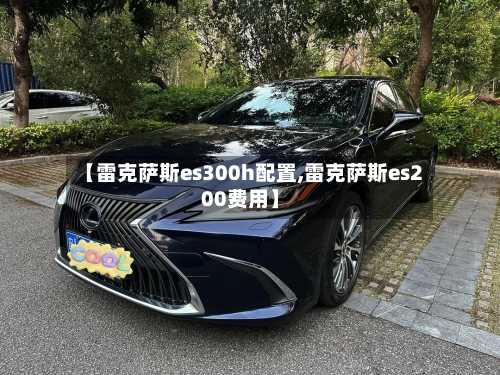 【雷克萨斯es300h配置,雷克萨斯es200费用】-第1张图片