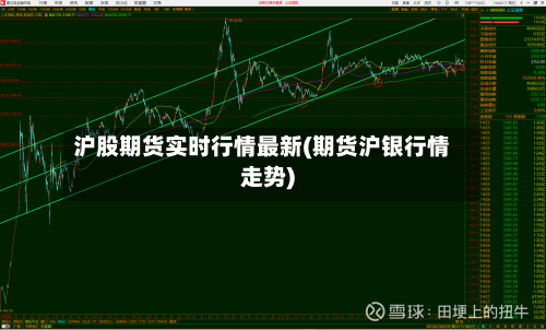 沪股期货实时行情最新(期货沪银行情走势)-第1张图片
