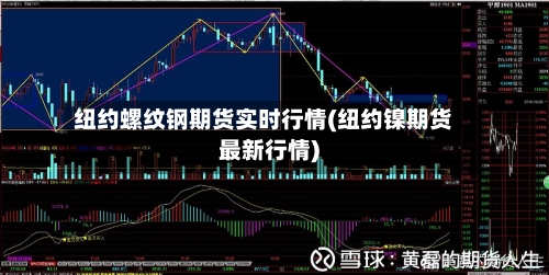 纽约螺纹钢期货实时行情(纽约镍期货最新行情)-第3张图片