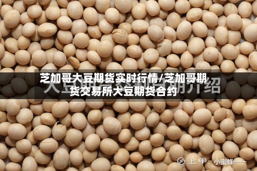 芝加哥大豆期货实时行情/芝加哥期货交易所大豆期货合约-第1张图片