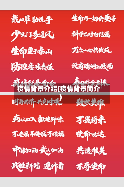 疫情背景介绍(疫情背景简介)-第2张图片
