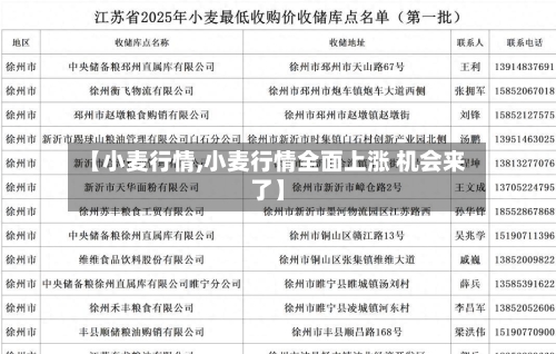 【小麦行情,小麦行情全面上涨 机会来了】-第1张图片