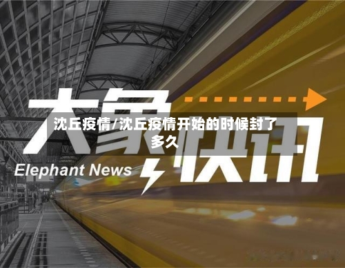 沈丘疫情/沈丘疫情开始的时候封了多久-第3张图片