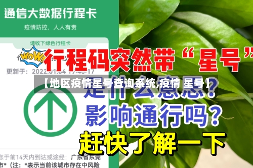 【地区疫情星号查询系统,疫情 星号】-第2张图片