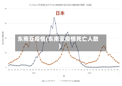 东南亚疫情(东南亚疫情死亡人数)-第1张图片