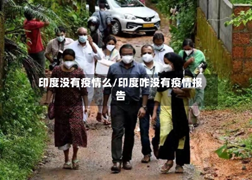 印度没有疫情么/印度咋没有疫情报告-第3张图片