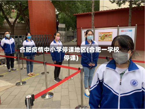 合肥疫情中小学停课地区(合肥一学校停课)-第1张图片