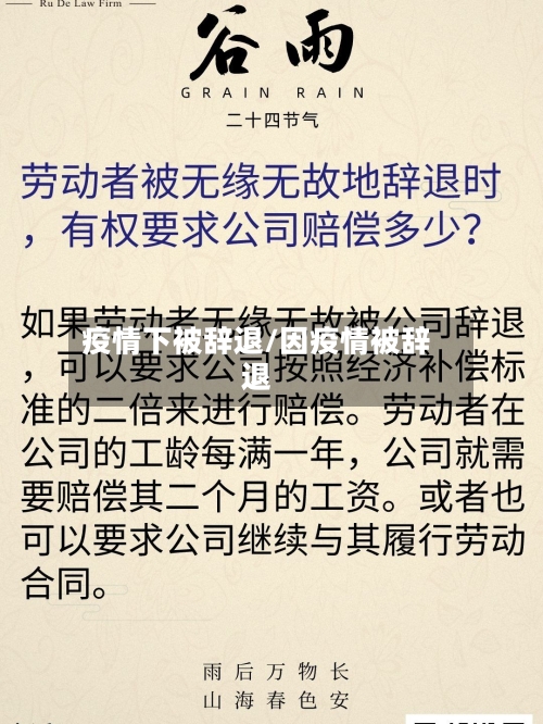 疫情下被辞退/因疫情被辞退-第3张图片