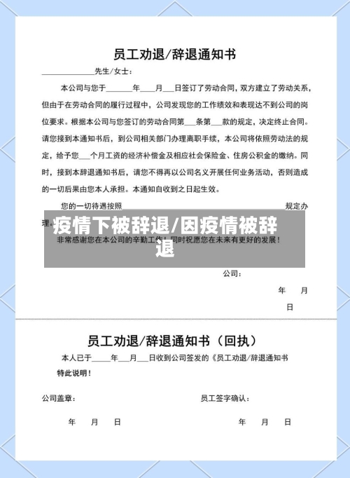 疫情下被辞退/因疫情被辞退-第1张图片