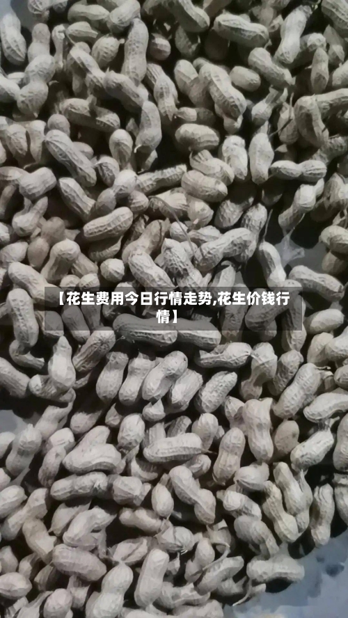 【花生费用今日行情走势,花生价钱行情】-第1张图片