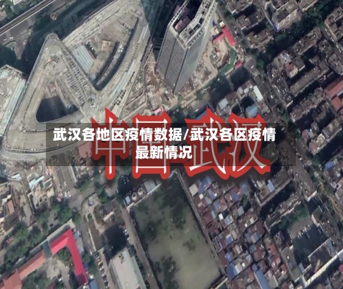 武汉各地区疫情数据/武汉各区疫情最新情况-第1张图片