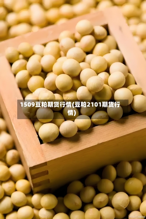 1509豆粕期货行情(豆粕2101期货行情)-第1张图片