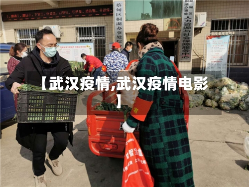 【武汉疫情,武汉疫情电影】-第2张图片