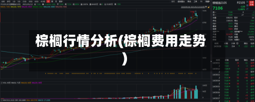 棕榈行情分析(棕榈费用走势)-第3张图片