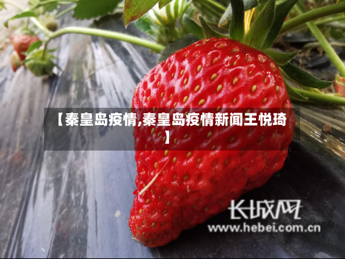 【秦皇岛疫情,秦皇岛疫情新闻王悦琦】-第1张图片
