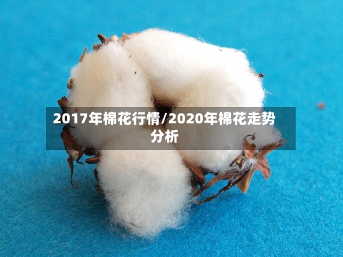 2017年棉花行情/2020年棉花走势分析-第1张图片