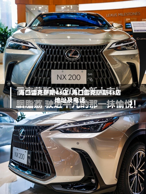 海口雷克萨斯4s店/海口雷克萨斯4s店地址及电话-第1张图片