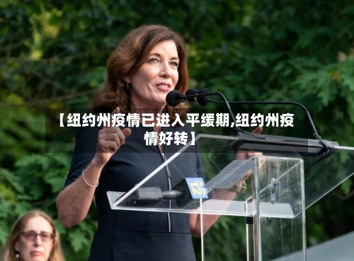 【纽约州疫情已进入平缓期,纽约州疫情好转】-第2张图片