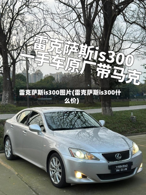 雷克萨斯is300图片(雷克萨斯is300什么价)-第3张图片