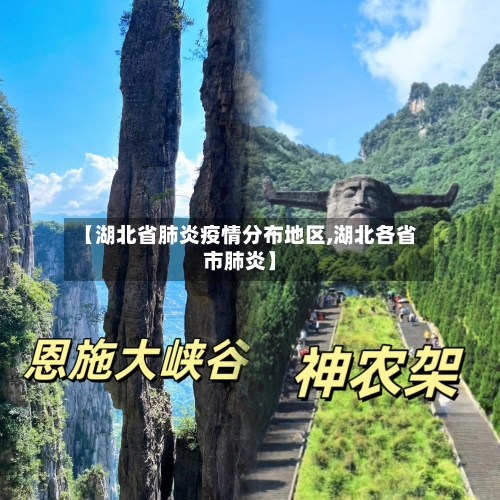 【湖北省肺炎疫情分布地区,湖北各省市肺炎】-第2张图片