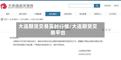 大连期货交易实时行情/大连期货交易平台-第2张图片