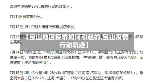 【宝山地区疫情如何引起的,宝山疫情行动轨迹】-第2张图片