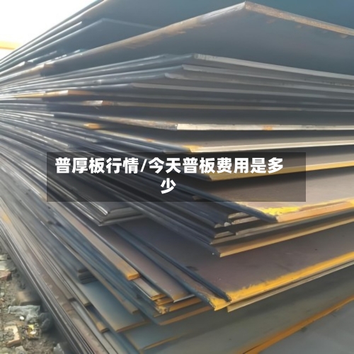 普厚板行情/今天普板费用是多少-第2张图片