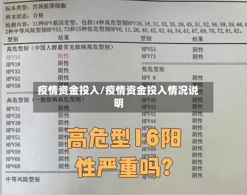 疫情资金投入/疫情资金投入情况说明-第2张图片