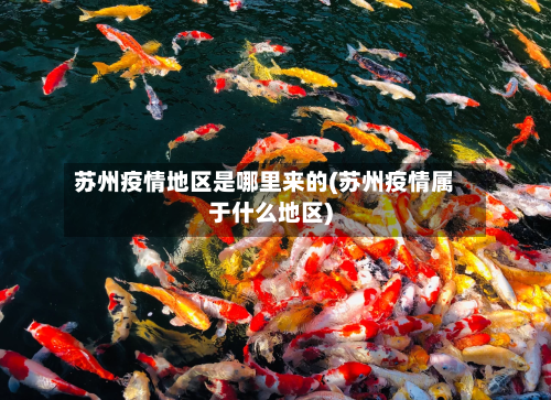 苏州疫情地区是哪里来的(苏州疫情属于什么地区)-第1张图片