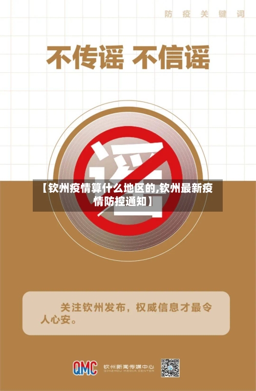 【钦州疫情算什么地区的,钦州最新疫情防控通知】-第3张图片