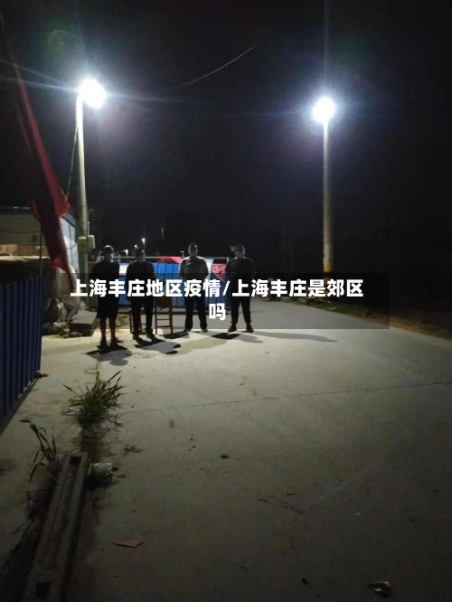 上海丰庄地区疫情/上海丰庄是郊区吗-第3张图片