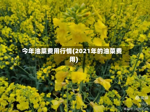今年油菜费用行情(2021年的油菜费用)-第2张图片