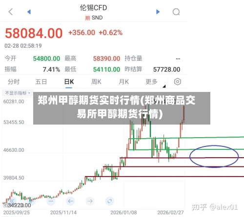 郑州甲醇期货实时行情(郑州商品交易所甲醇期货行情)-第1张图片