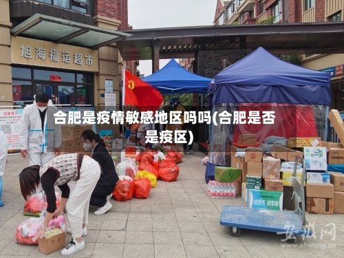 合肥是疫情敏感地区吗吗(合肥是否是疫区)-第1张图片