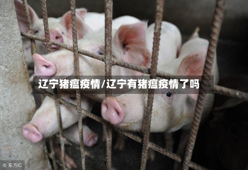 辽宁猪瘟疫情/辽宁有猪瘟疫情了吗-第1张图片