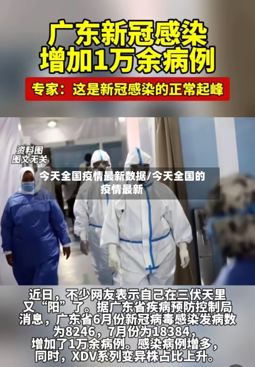 今天全国疫情最新数据/今天全国的疫情最新-第2张图片