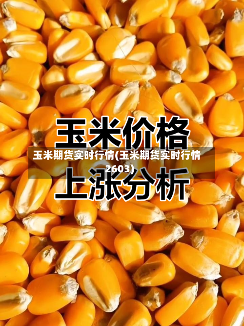 玉米期货实时行情(玉米期货实时行情2603)-第1张图片