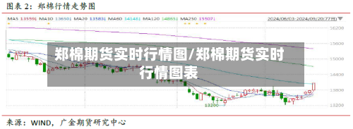 郑棉期货实时行情图/郑棉期货实时行情图表-第1张图片
